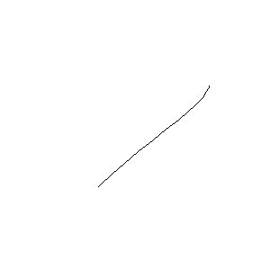 untitled drawing